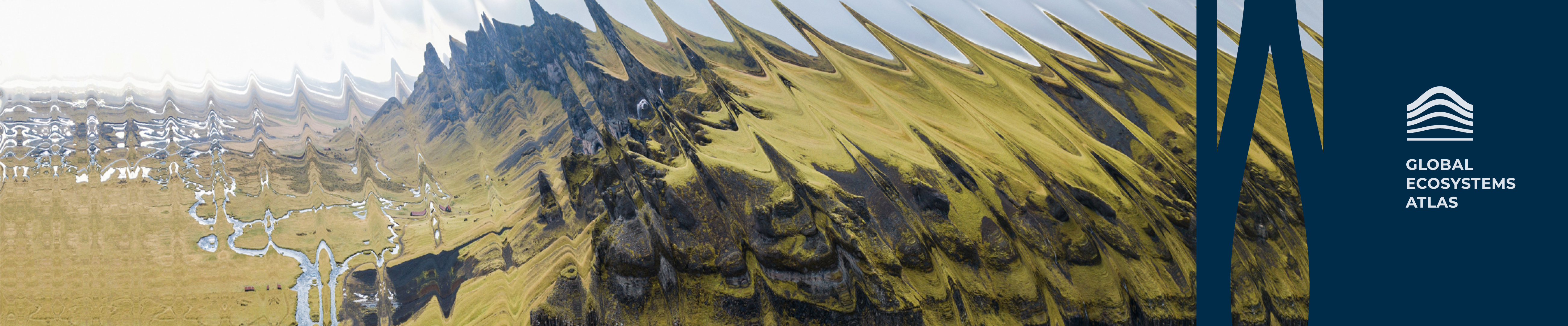 1st Global Ecosystems Atlas Convening Meeting