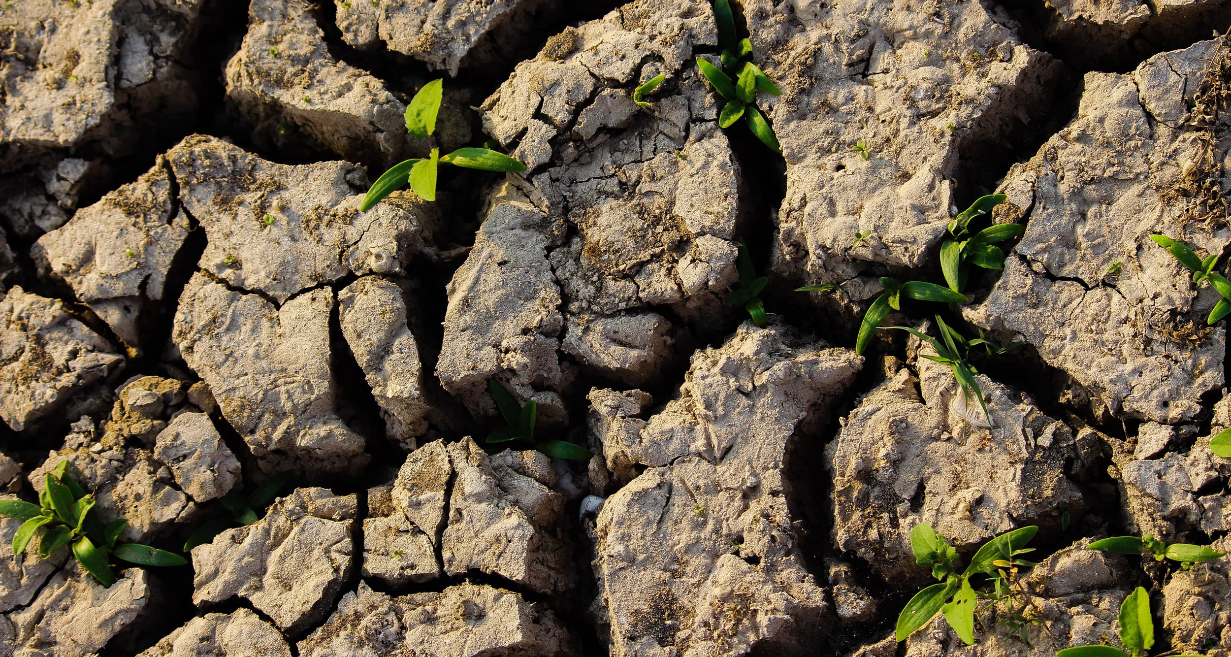 GEO Land Degradation Neutrality