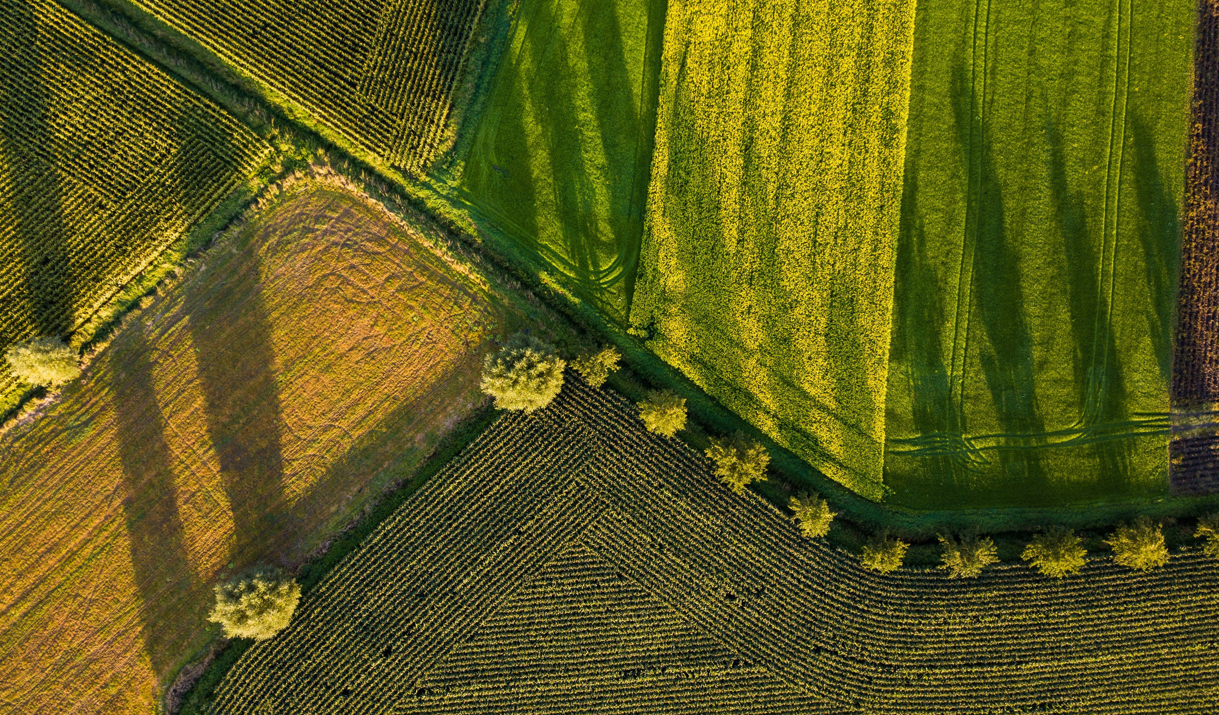 Earth Observations for the Water-Energy-Food Nexus